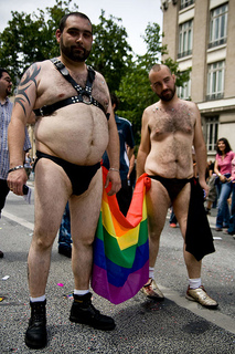 Résultat de recherche d'images pour "photos gay pride"