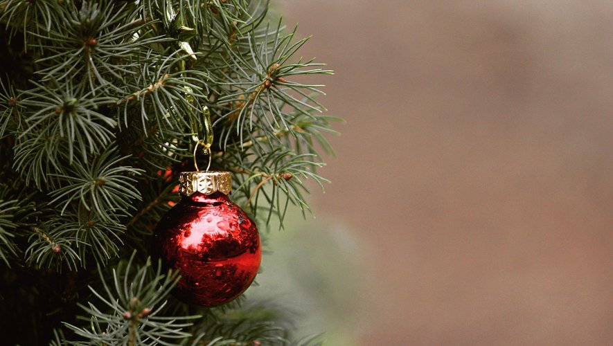 Lormont Un musulman saccage le sapin de Noël